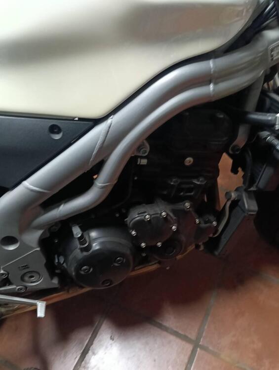 Triumph Speed Triple 955 (2002 - 04) (2)