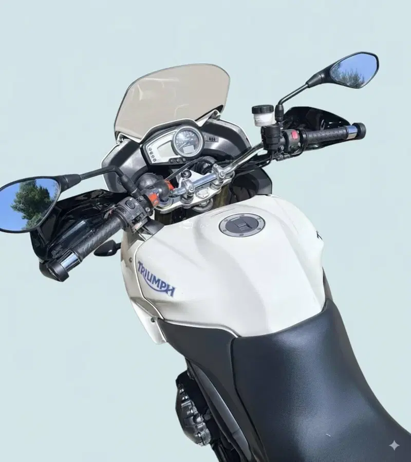 Triumph Tiger 1050 (2006 - 12) (4)