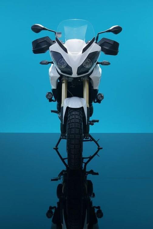 Triumph Tiger 1050 (2006 - 12) (5)