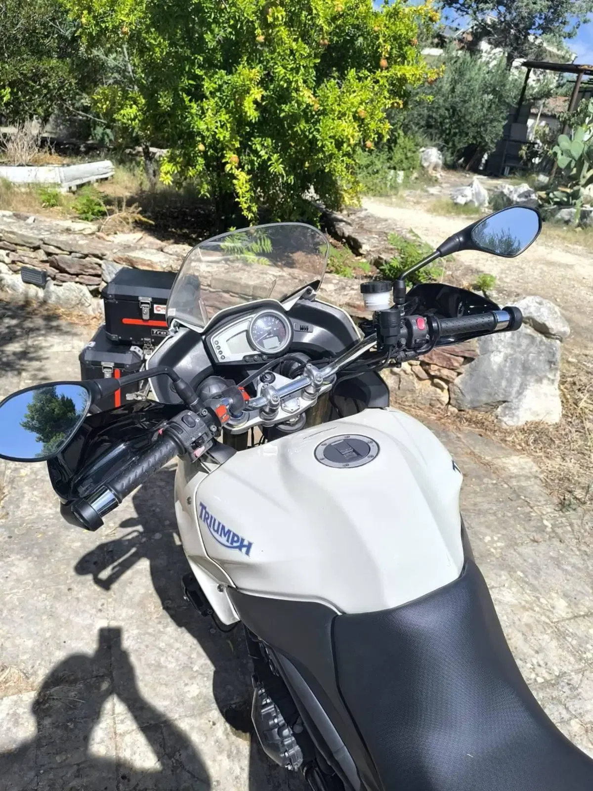 Triumph Tiger 1050 (2006 - 12) (6)