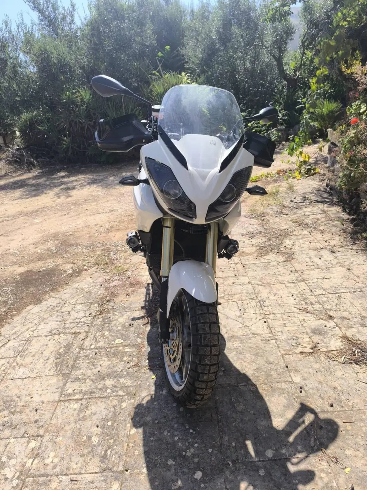 Triumph Tiger 1050 (2006 - 12) (8)