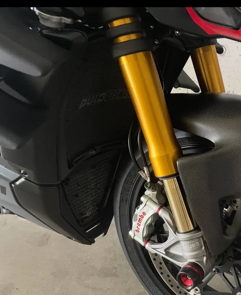 Ducati Streetfighter V4 S (2023 - 24) (15)