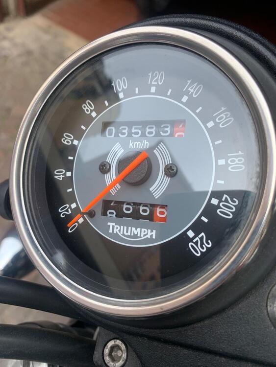 Triumph Bonneville T100 (2001 - 07) (4)