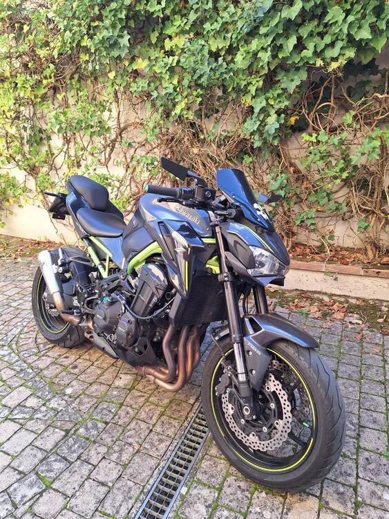 Kawasaki Z 900 (2017 - 18) (2)