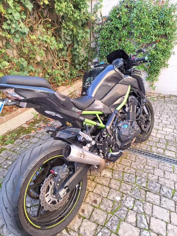 Kawasaki Z 900 (2017 - 18) (4)