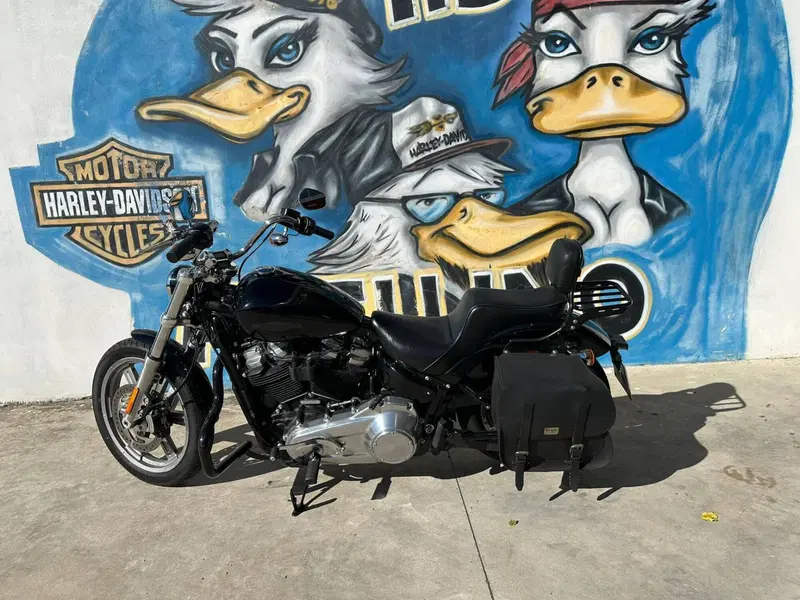 Harley-Davidson Softail Standard (2021 - 25)