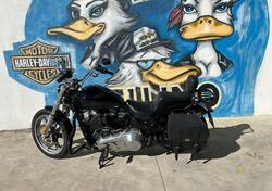 Harley-Davidson Softail Standard (2021 - 25) usata