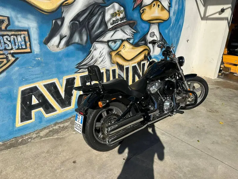 Harley-Davidson Softail Standard (2021 - 25) (2)