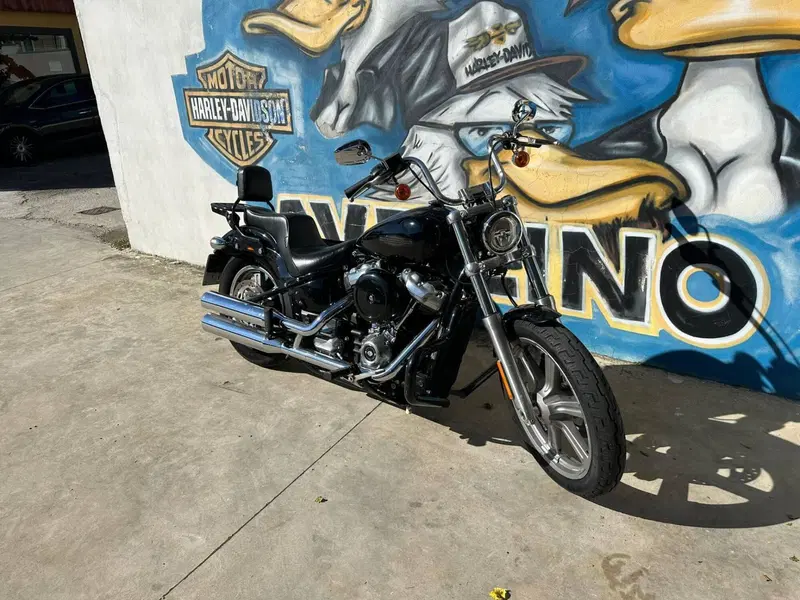 Harley-Davidson Softail Standard (2021 - 25) (3)