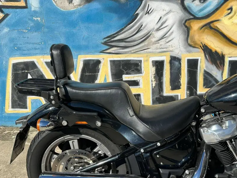 Harley-Davidson Softail Standard (2021 - 25) (4)