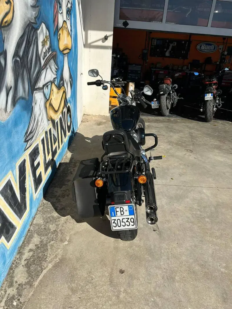 Harley-Davidson Softail Standard (2021 - 25) (5)