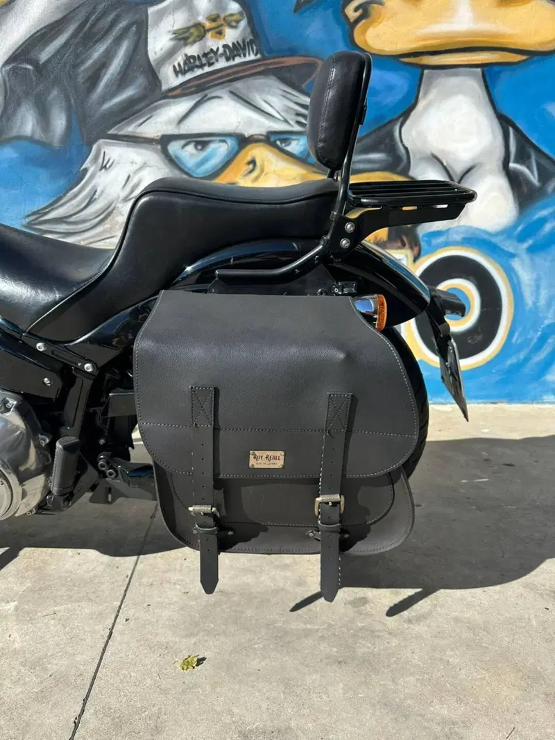 Harley-Davidson Softail Standard (2021 - 25) (8)