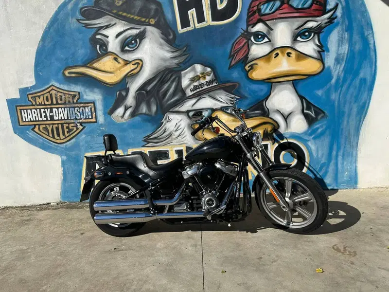 Harley-Davidson Softail Standard (2021 - 25) (9)