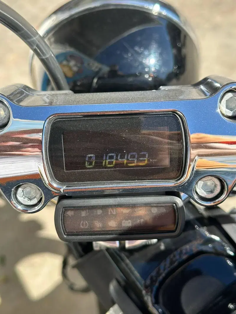 Harley-Davidson Softail Standard (2021 - 25) (10)