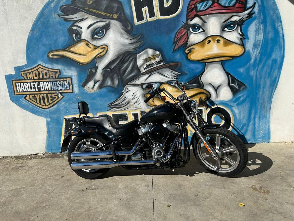 Harley-Davidson Softail Standard (2021 - 25)