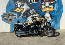 Harley-Davidson Softail Standard (2021 - 25) usata