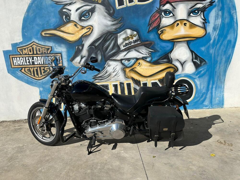 Harley-Davidson Softail Standard (2021 - 25) (2)