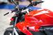 Ducati Streetfighter V2 (2022 - 24) (18)