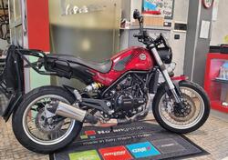 Benelli Leoncino 500 Trail (2021 - 25) usata