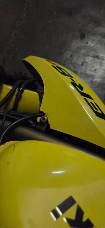 Kawasaki ER-6N (2006 - 09) (5)