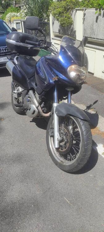 Suzuki XF 650 Freewind (1997 - 03) (4)