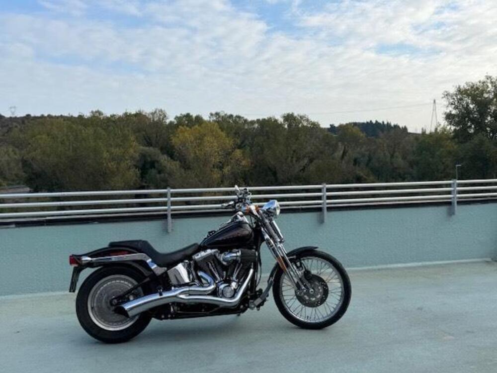 Harley-Davidson 1450 Springer (2002 - 04) - FXSTSI (3)