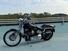 Harley-Davidson 1450 Springer (2002 - 04) - FXSTSI (17)