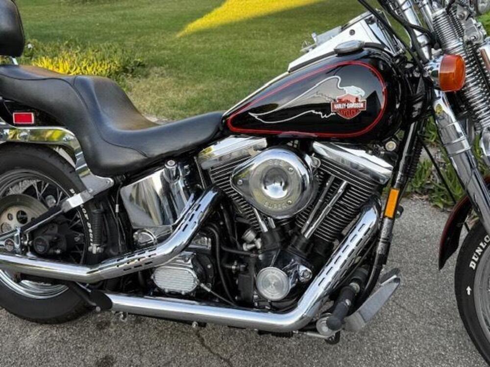 Harley-Davidson 1340 Springer (1990 - 98) - FXSTS (3)