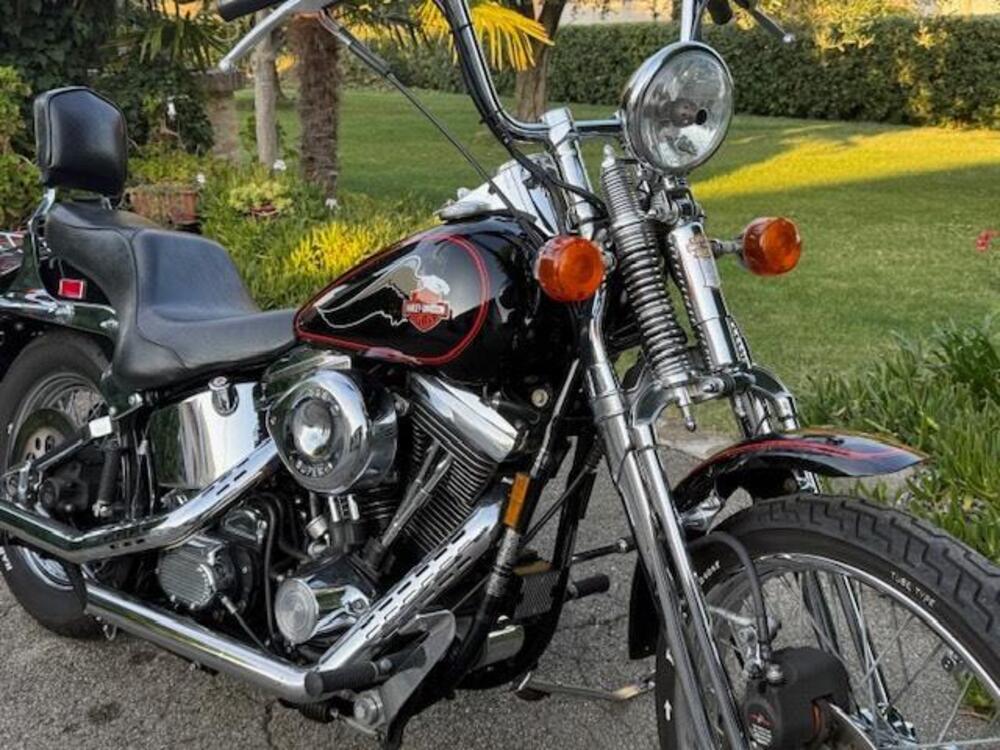 Harley-Davidson 1340 Springer (1990 - 98) - FXSTS (5)