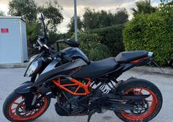 KTM 390 Duke (2024 - 26) usata