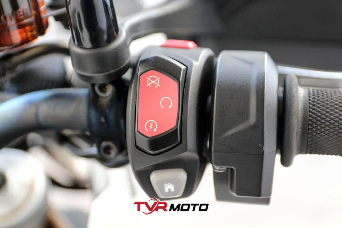 Triumph Tiger 900 Rally Pro (2020 - 23) (20)