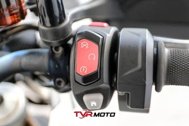 Triumph Tiger 900 Rally Pro (2020 - 23) (20)