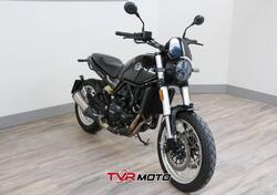 Benelli Leoncino 500 Trail (2021 - 25) usata