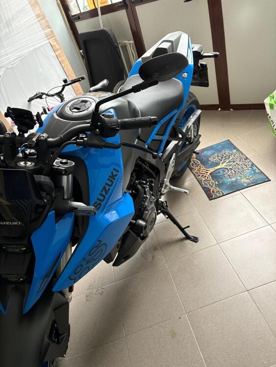 Suzuki GSX-8S (2023 - 24) (2)