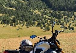 Yamaha MT-09 SP (2021 - 23) usata