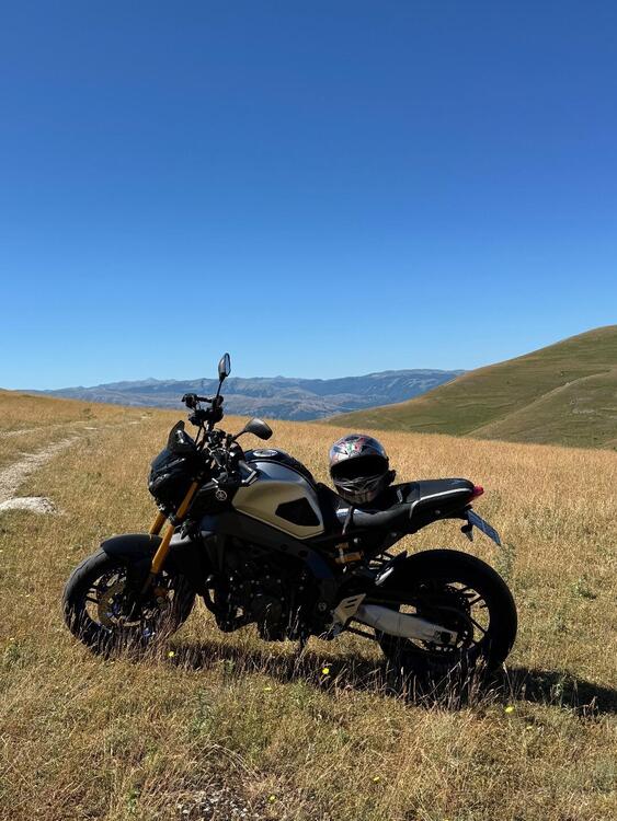 Yamaha MT-09 SP (2021 - 23) (4)