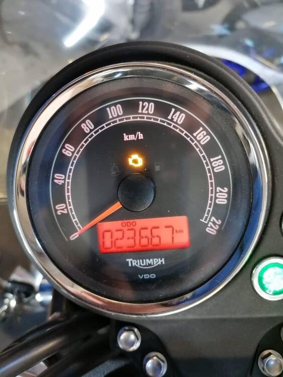 Triumph Bonneville SE (2009 - 13) (5)