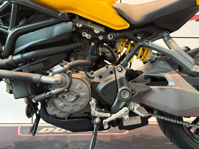 Ducati Monster 821 (2018 - 20) (11)
