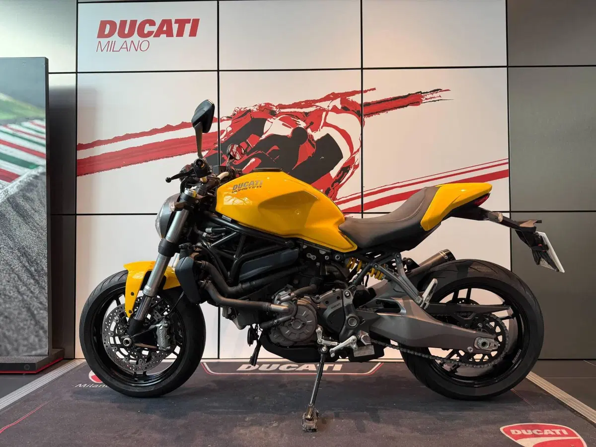 Ducati Monster 821 (2018 - 20) (13)
