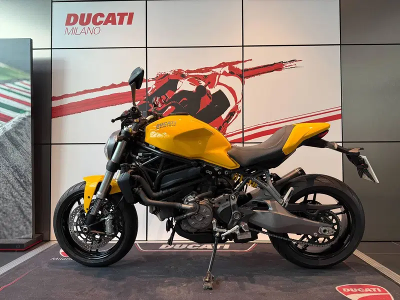 Ducati Monster 821 (2018 - 20) (13)
