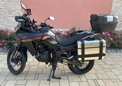 Honda Transalp XL750 (2023 - 24) usata