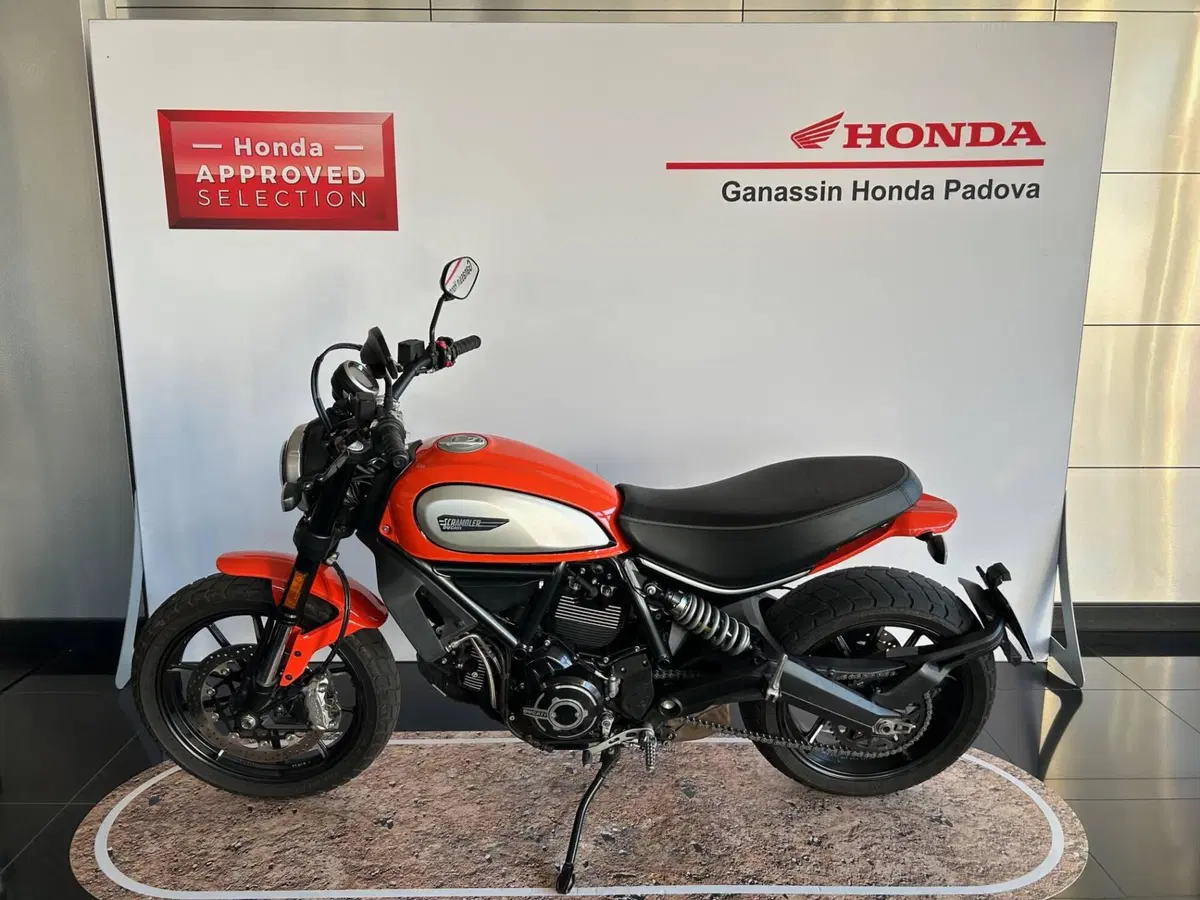 Ducati Scrambler 800 Icon (2017 - 20) (4)