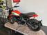 Ducati Scrambler 800 Icon (2017 - 20) (6)