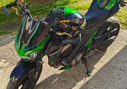 Kawasaki Z 800 Performance (2013 - 13) usata