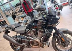 Harley-Davidson Pan America 1250 Special (2020 - 25) usata