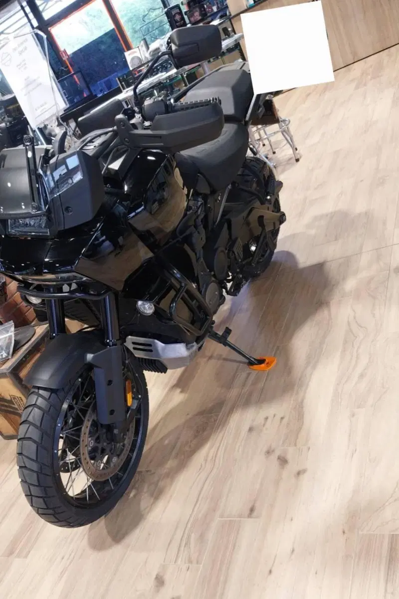 Harley-Davidson Pan America 1250 Special (2020 - 25) (3)