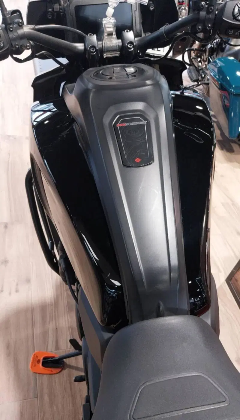 Harley-Davidson Pan America 1250 Special (2020 - 25) (4)