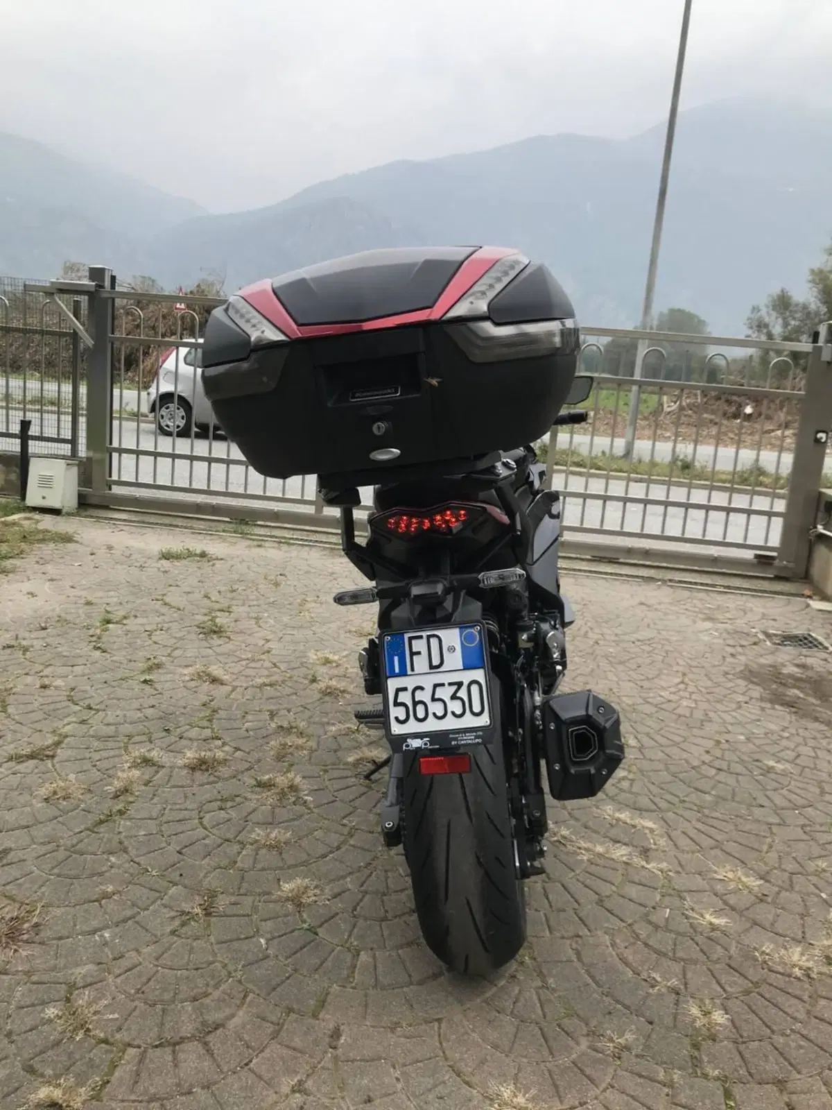 Kawasaki Ninja 1000 SX (2021 - 24) (2)