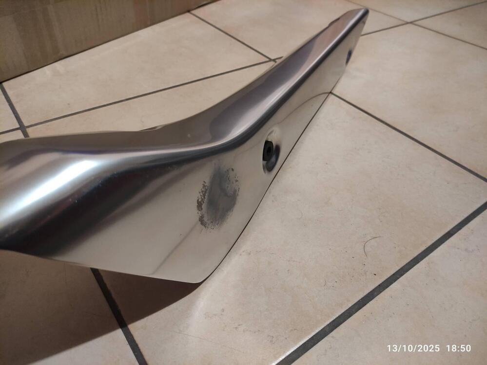 Paracalore Suzuki (2)