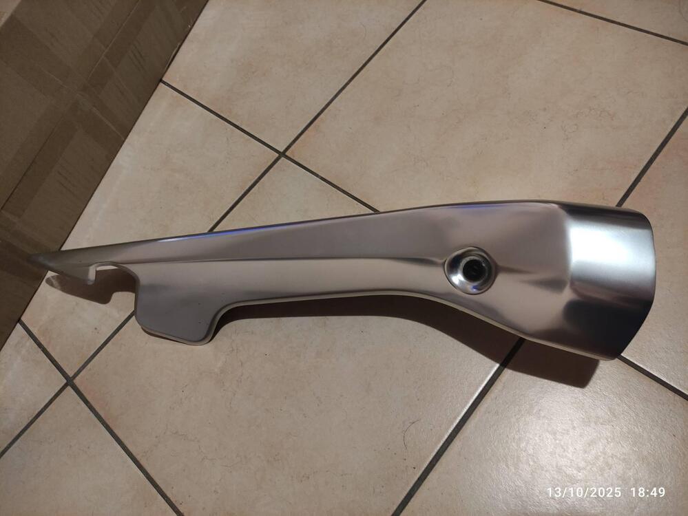 Paracalore Suzuki (3)